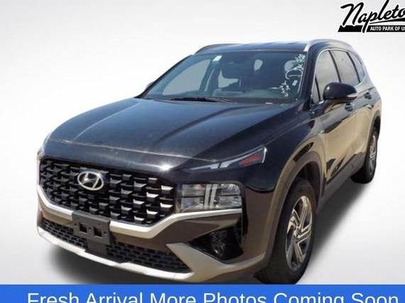 HYUNDAI SANTA FE 2023 5NMS2DAJ5PH528127 image